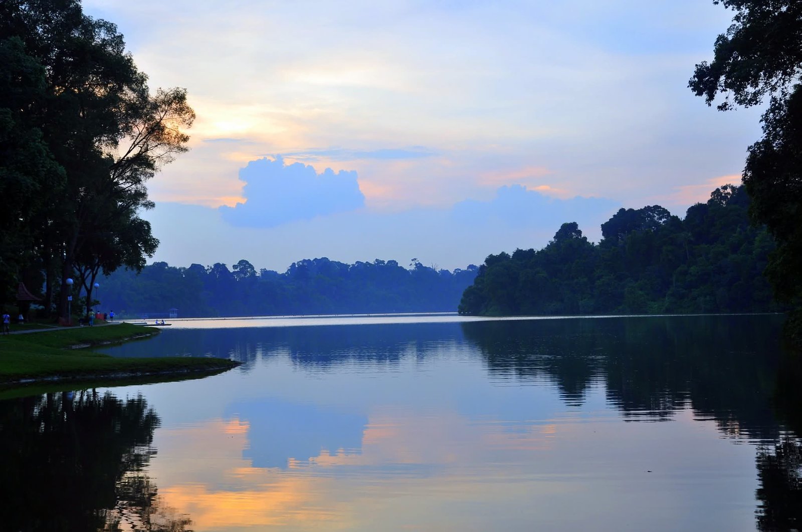 MacRitchie Reservoir
